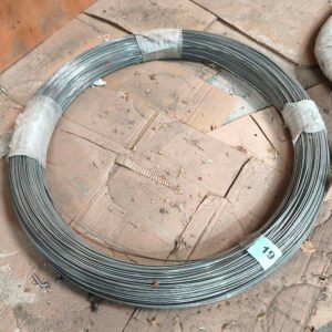 Lote 019