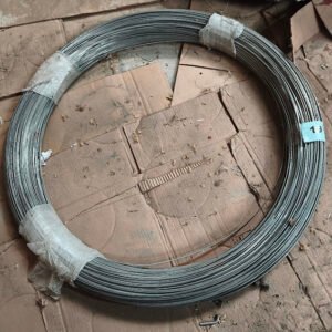 Lote 019