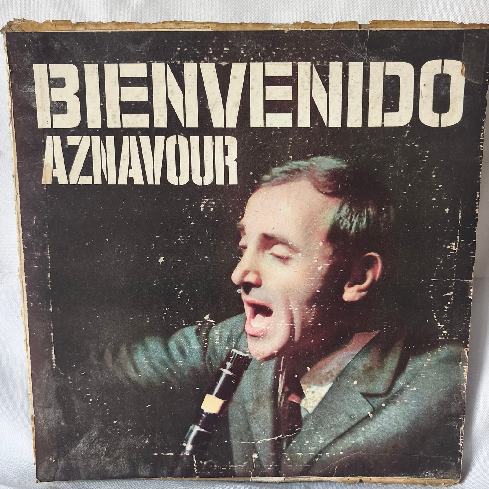 Lote 036