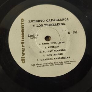 Lote 088